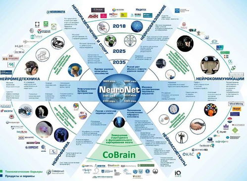 神经网络 下一代网络技术的演进与展望